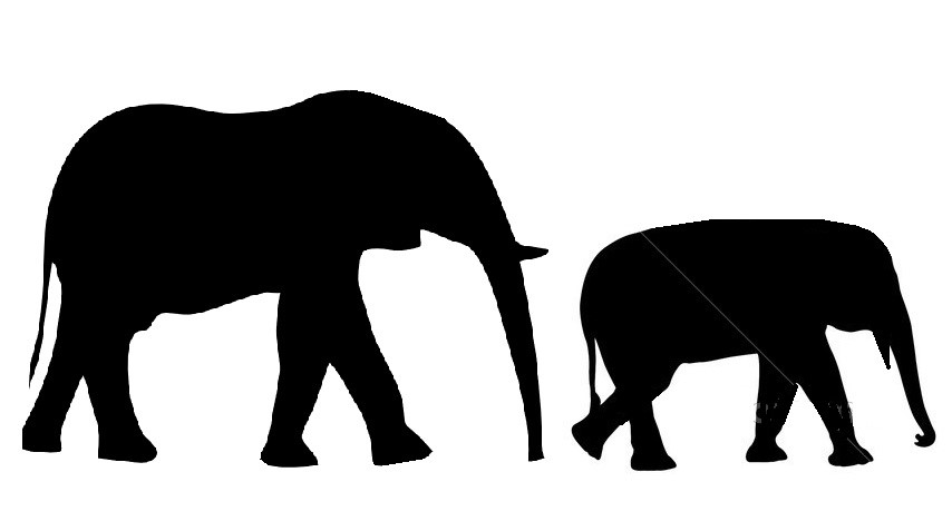 854x477 Elephant Outline Indian Elephant Drawing Outline Free Clipart