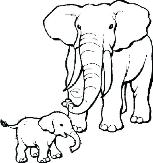 526x563 Elephant Coloring Images