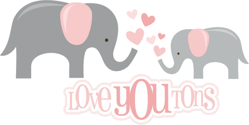800x401 Collection Of Free Love Elephant Download On Ui Ex