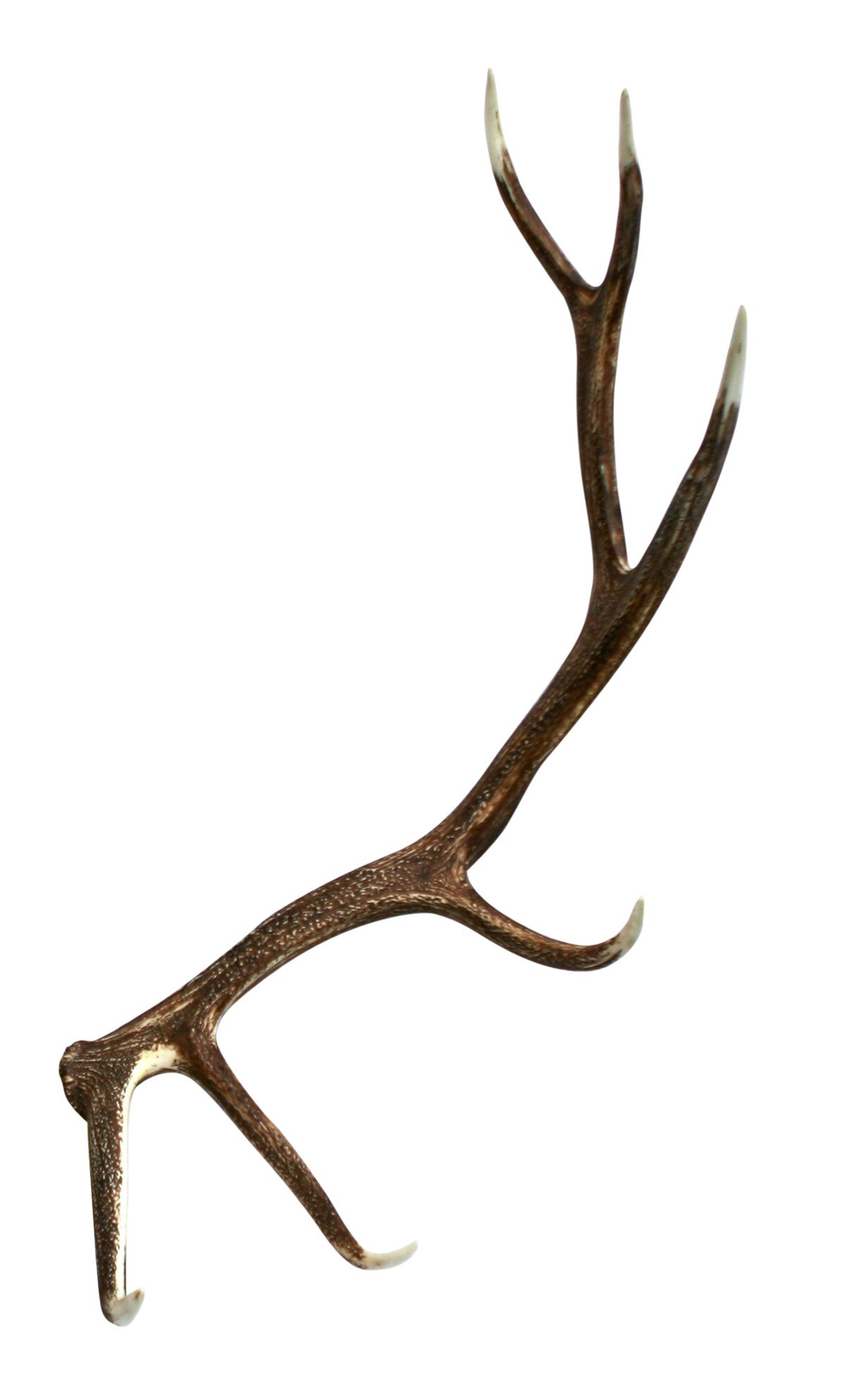 1232x1948 Elk Faux Antler Cast Horn Designs