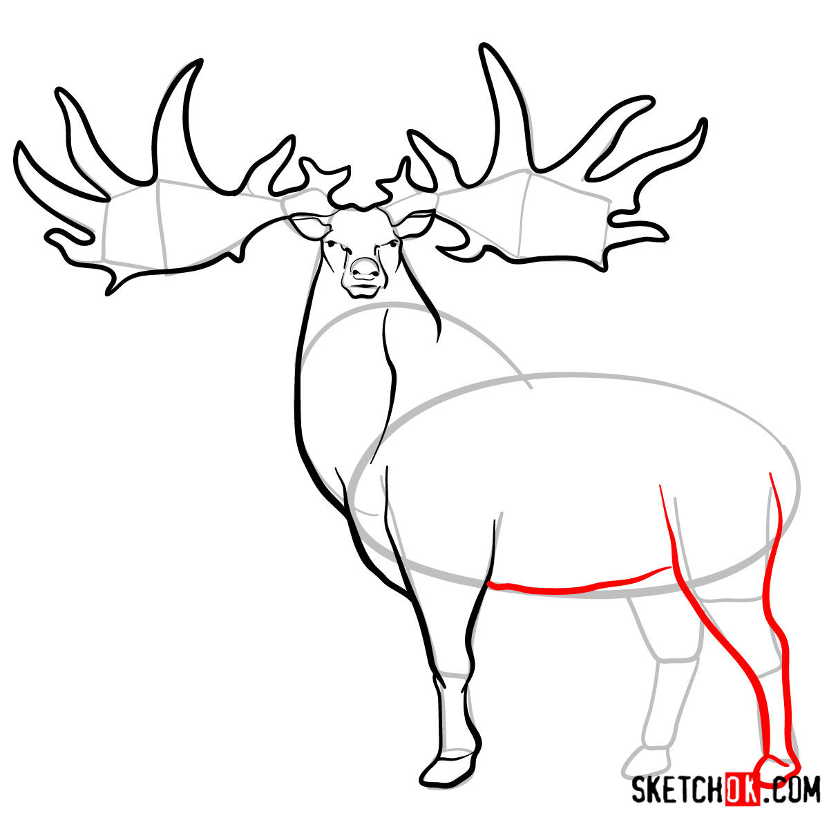 1200x1200 How To Draw An Irish Elk Extinct Animals