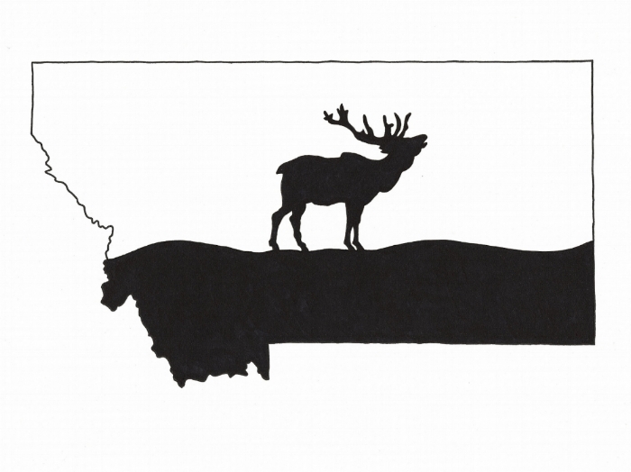 700x524 Montana Elk Silhouette Drawing Signed Print Kodiak Art Llc