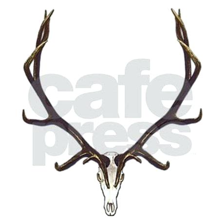 460x460 Elk Skull Cow Stock