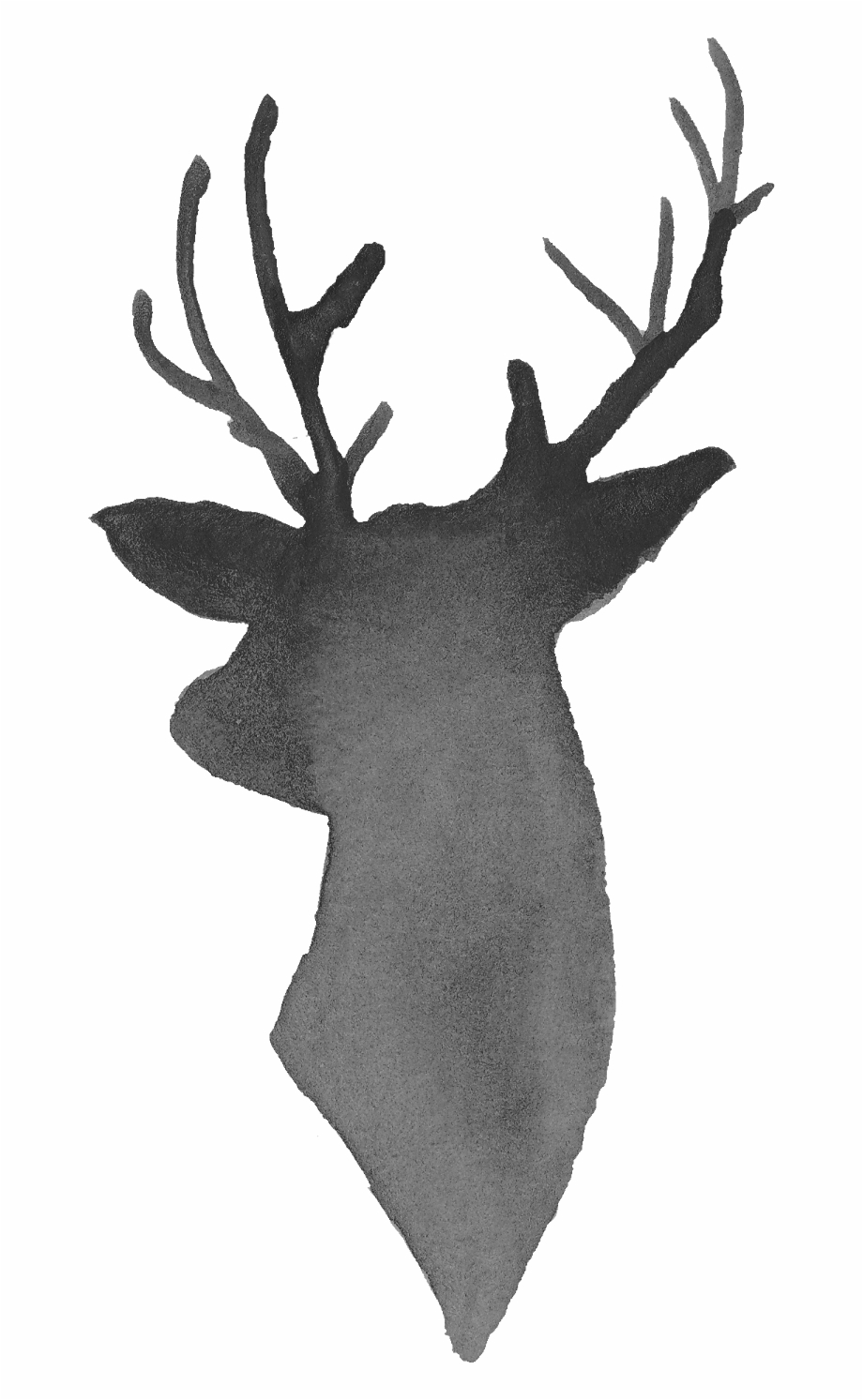 920x1493 Free Download