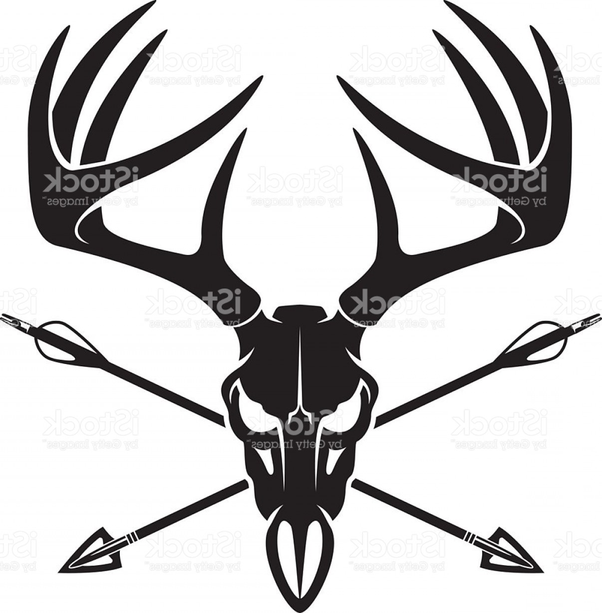 1206x1228 Whitetail Deer Buck Skull With Crossing Hunting Arrows Gm Lazttweet