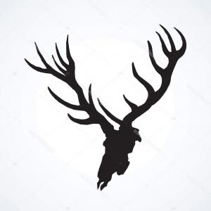 300x300 Best Top Deer Skull Clip Art Cmsea Elk Head Vector Design Library