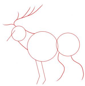 298x302 How To Draw An Elk, Step