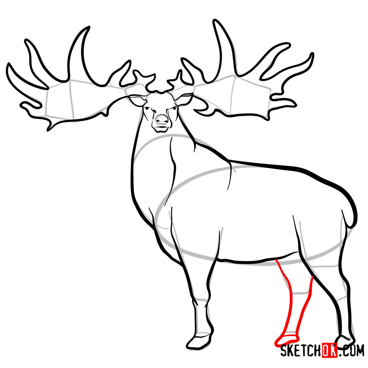 1200x1200 How To Draw An Irish Elk Extinct Animals