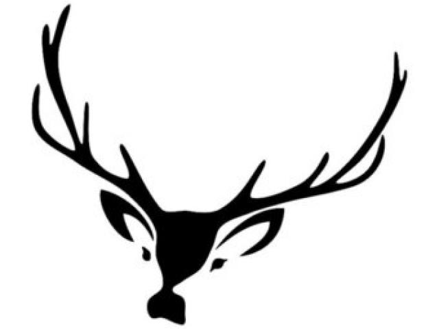 640x480 Stag Clipart Line Drawing