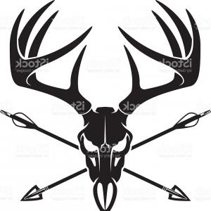300x300 Stock Photo Deer Skull Illustration Drawing Engraving Ink Line Art