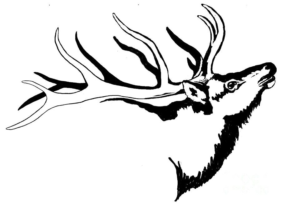 900x652 Tribal Elk Related Keywords Suggestions