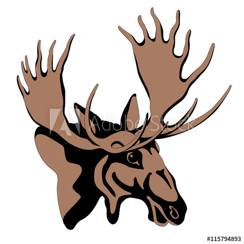 500x500 Adult Moose Head Color Line Drawing Vector Illustration