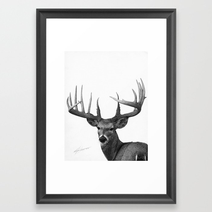 700x700 The Majestic Trophy Buck