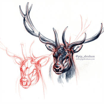 350x350 Drawingchallenges Explore Drawingchallenges