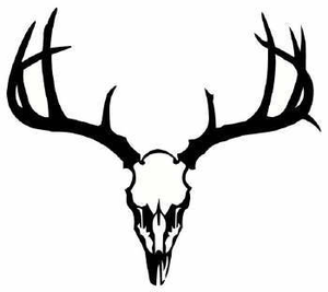 300x267 Deer Skull Free Images