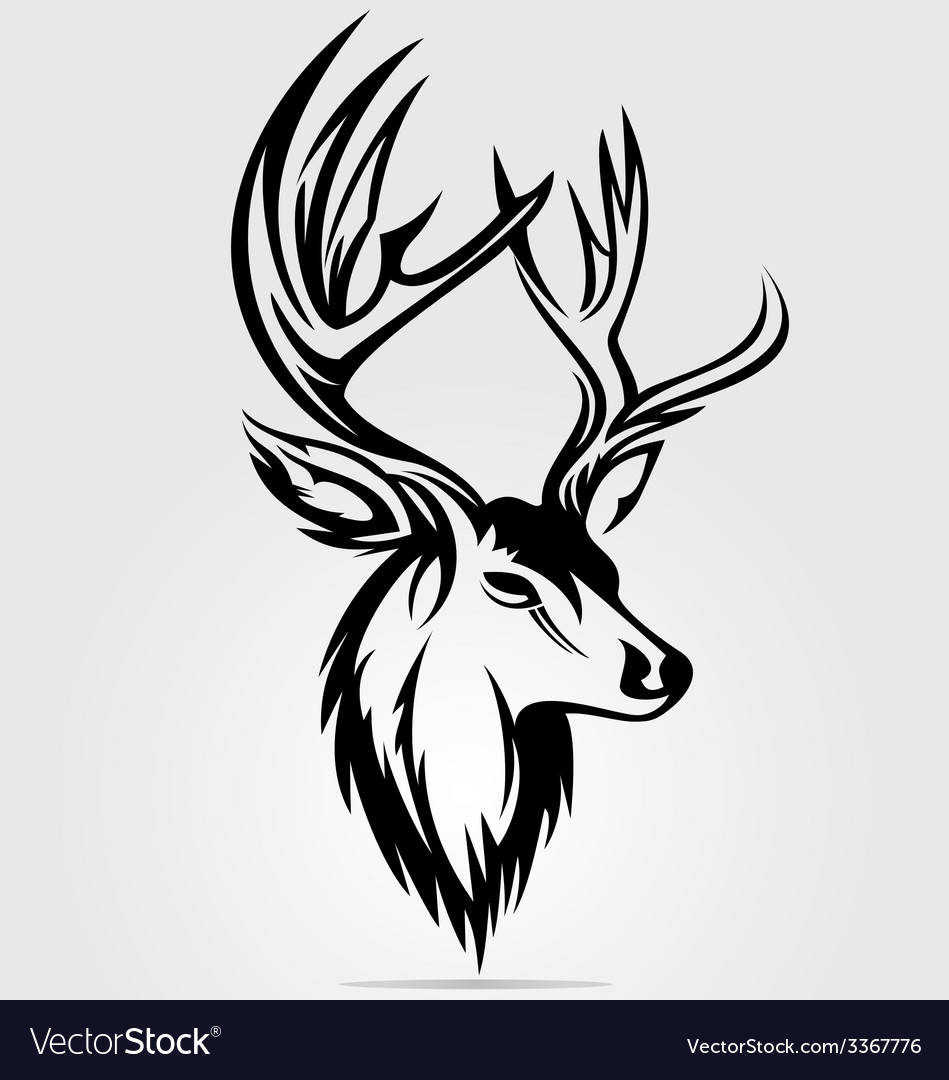 949x1080 Drawn Elk Skull
