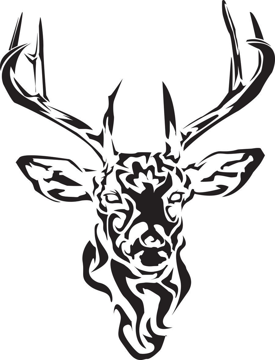 900x1178 Silhoette Tattoos Buck Drawings Ideas And Designs