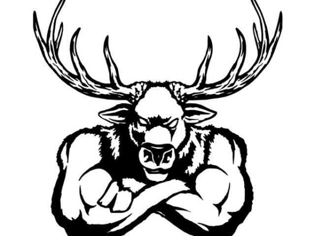 640x480 elk clipart elk skull
