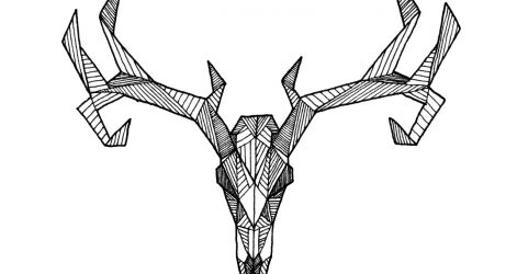 471x250 Skull Drawing Side View Bull Elk Head Easy Png Carmi Chaelinn