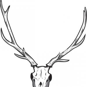 300x300 Stock Illustration Skull Of Deer Vector Drawing Lazttweet