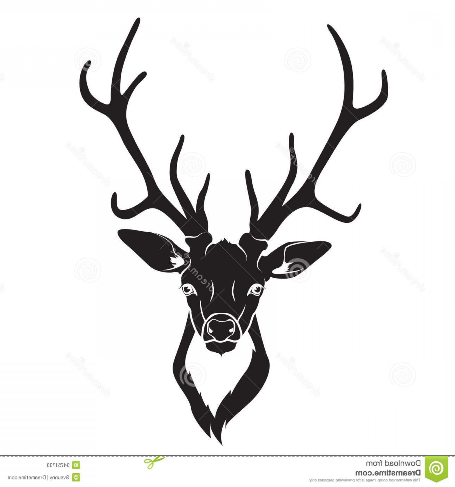 1560x1668 Stock Photos Deer Head Isolated Vector Ullustration Image Lazttweet