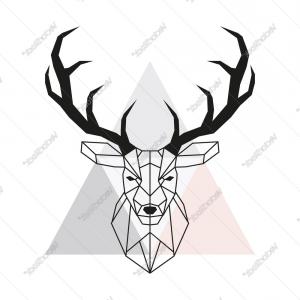 300x300 Best Hd Elk Skull With Antlers Vector Pictures Sohadacouri