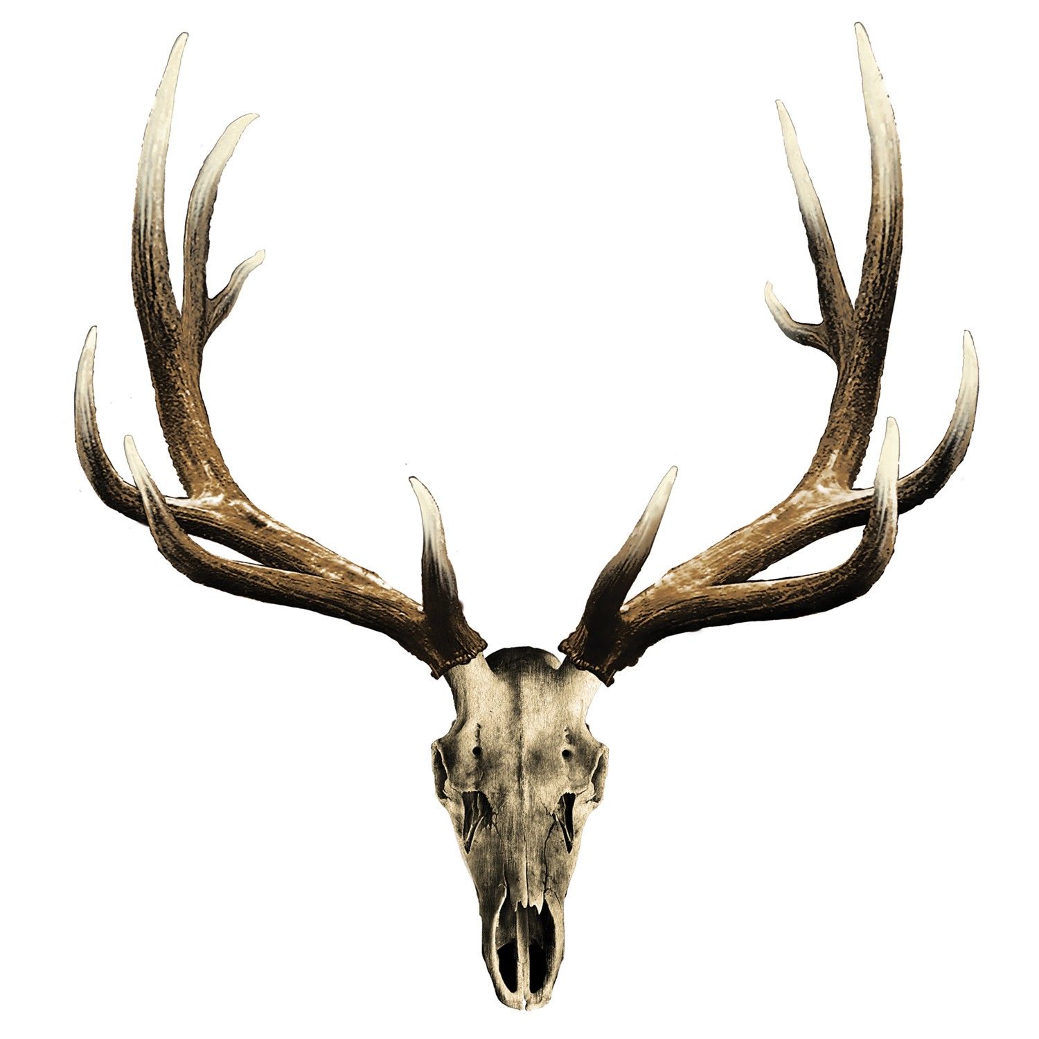 1500x1500 bull elk skull more images elk skull vesting plans elk tattoo