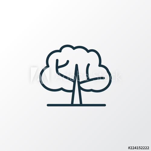 500x500 elm tree icon line symbol premium quality isolated ecology