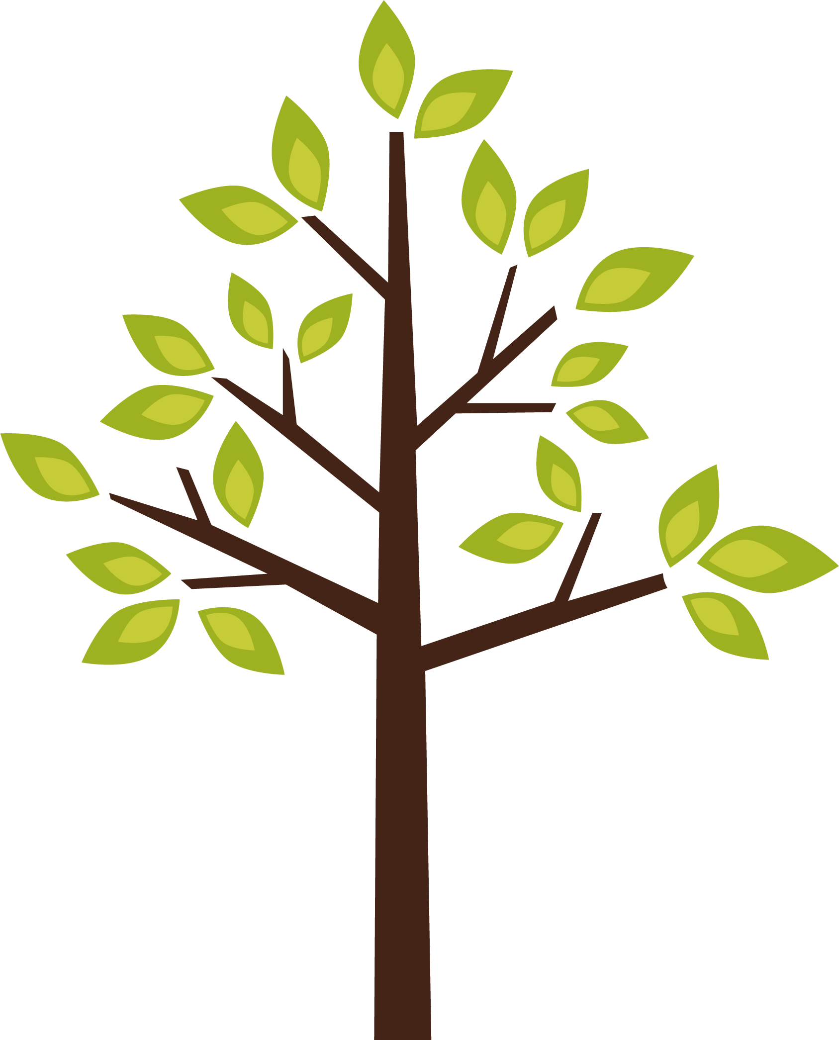 1687x2091 Hd Tree Clipart Png Image
