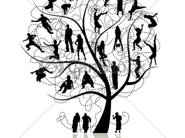 640x480 Tree Clipart Clipart