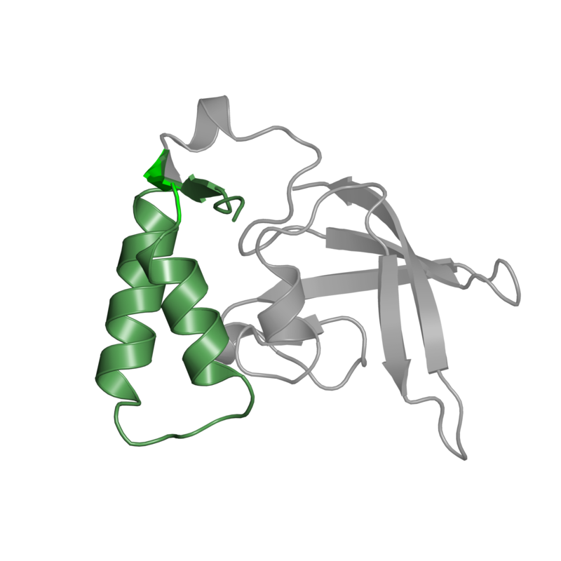 800x800 Pdb Gallery Protein Data Bank In Europe