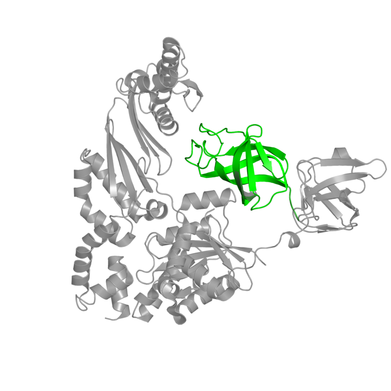 800x800 Pdb Gallery Protein Data Bank In Europe