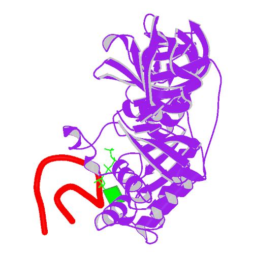 500x500 rcsb pdb