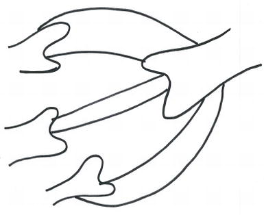 385x314 The Impact Of Neuroscience On The Evolution Of Decision Making