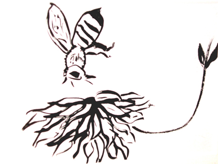 432x325 Artist Bios Print Version