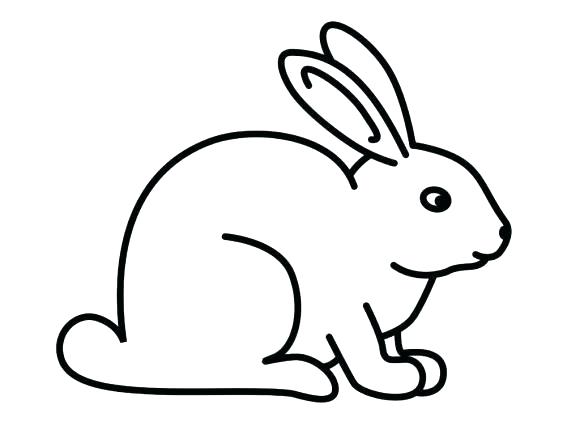 580x435 How To Draw Rabbit Draw Rabbit Easy Steps