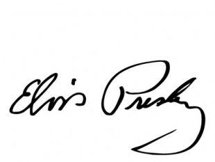 310x233 elvis presley custom flat pumps shoes