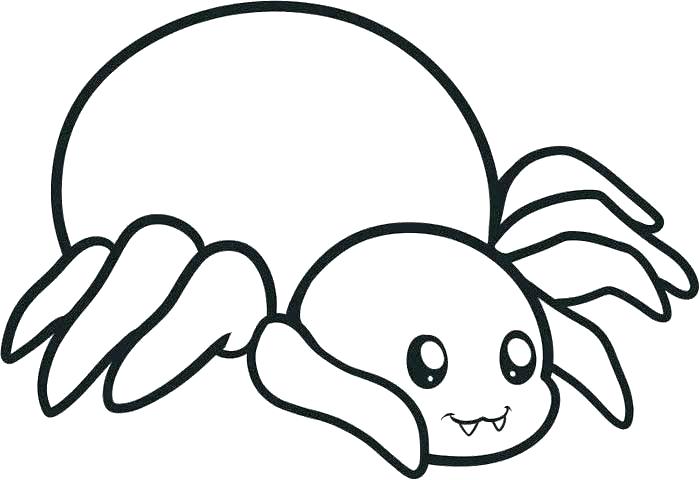 700x480 Cute Spider Drawing