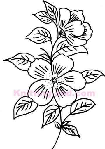 360x510 Hand Drawn Flower Embroidery Design Embroidery Basic
