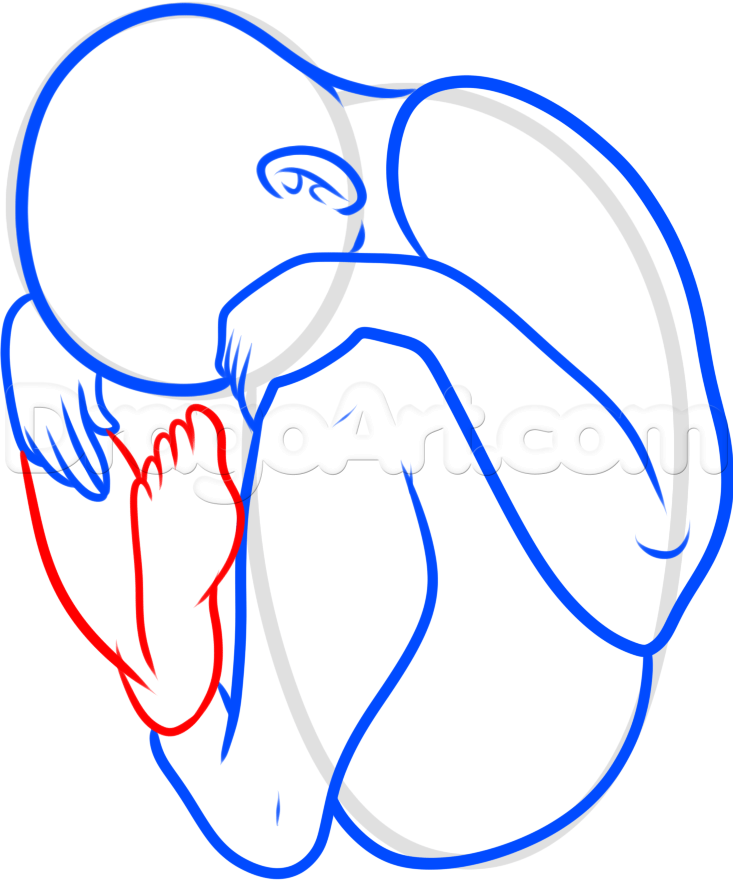 733x886 how to draw a fetus, step