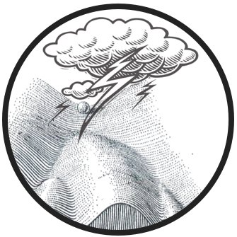 335x335 Miguel Ramalho Santos Lab On Twitter Thank You