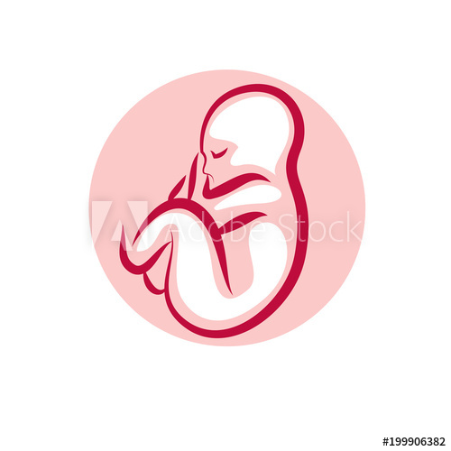 500x500 Vector Embryo Illustration Isolated On White New Life Beginning