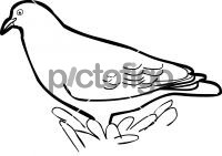 200x141 Original Hand Drawn Icon