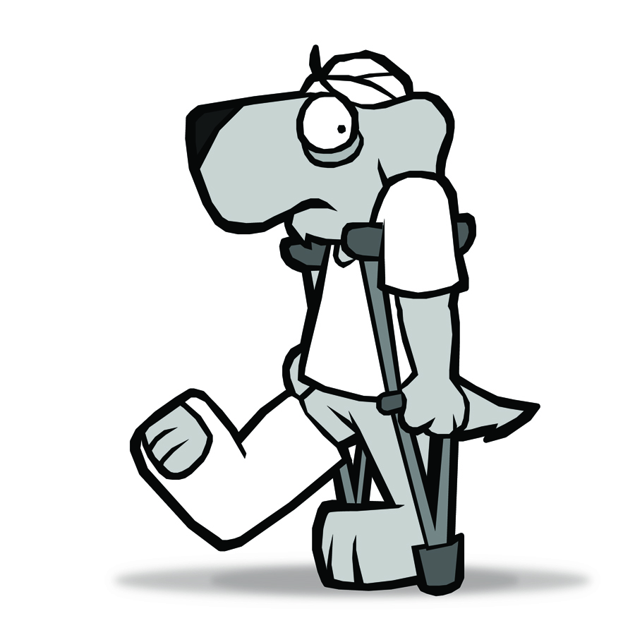 900x900 Emergency After Hours Park Avenue Animal Hospital