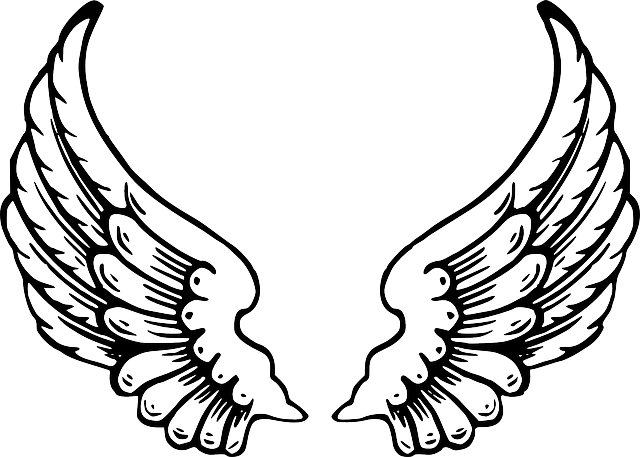 640x457 Wing Clipart Fallen Angel For Free Download And Use