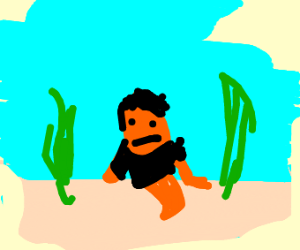 300x250 Emo X Ray Fish