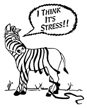 355x443 How Does Stress Affect Health, Well Being And Your Life