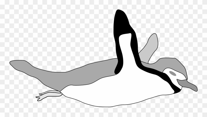 880x499 Emperor Penguin Swimming Drawing Computer Icons