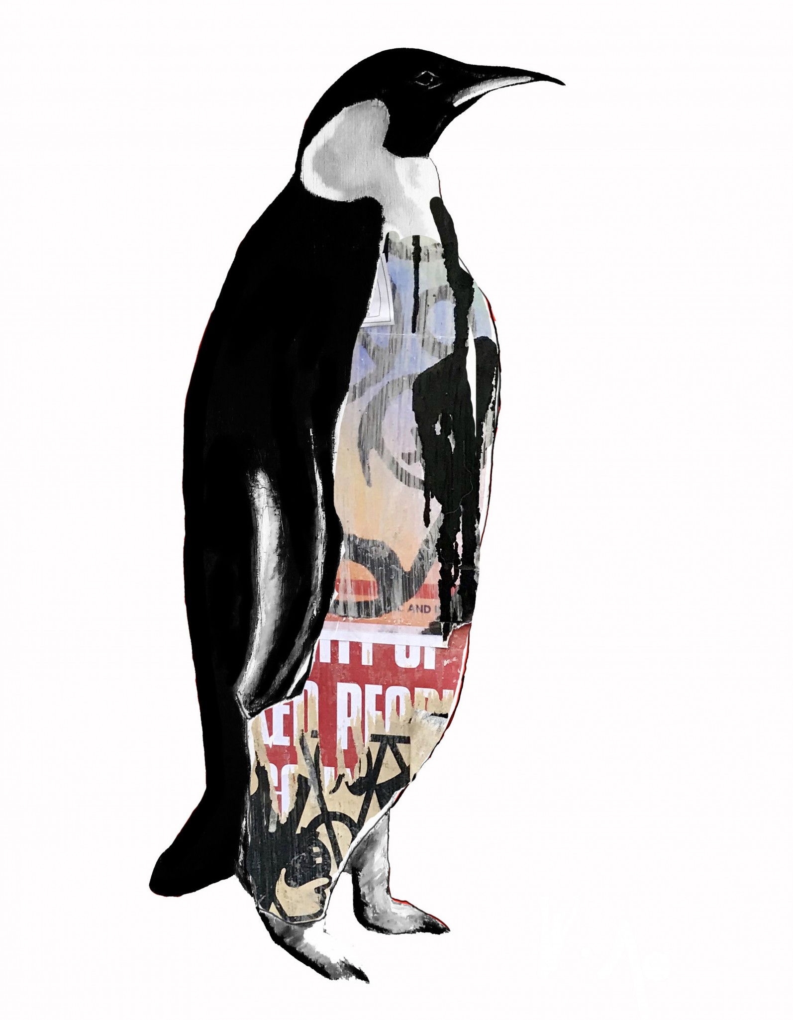 1594x2050 Graffiti Emperor