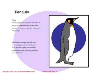 350x263 How To Draw A Penguin